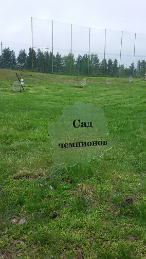 1_46.jpg